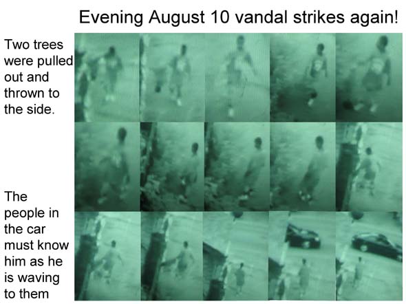 Click fo pictures of previous vandamism