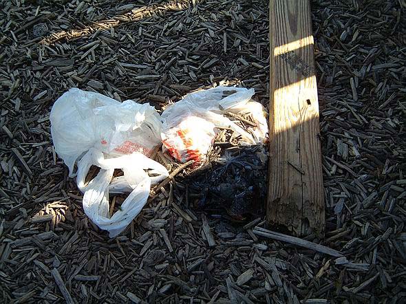 playground_excrement