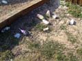 playground_garbage