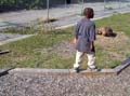 playground_tree
